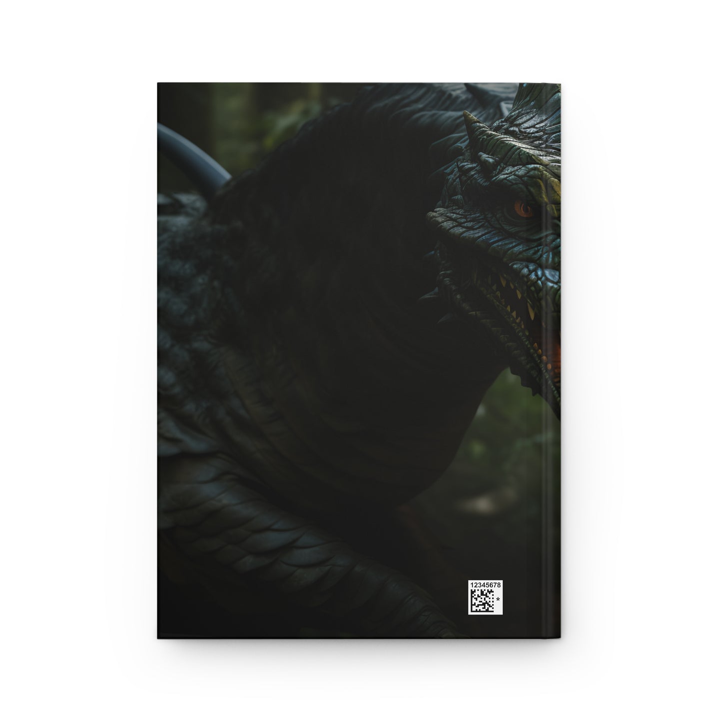 Girl with a Dragon 3 Hardcover Journal Matte